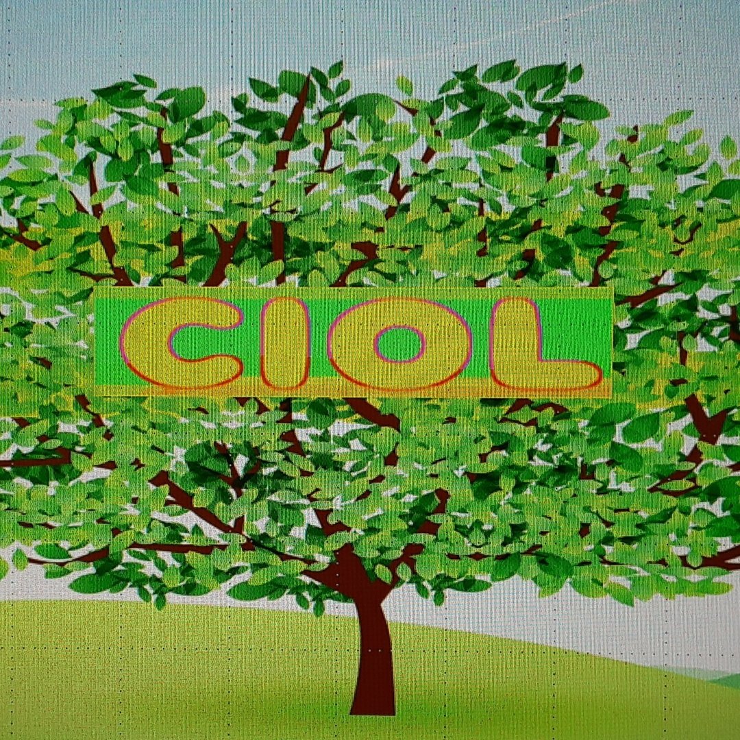 ciol.2022 公式Instagram